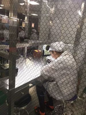 走进万格深圳工厂,探寻万格产品高品质背后的中国制造